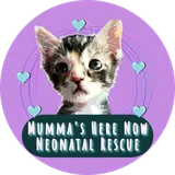 Mumma's Here Now Neonatal Rescue logo