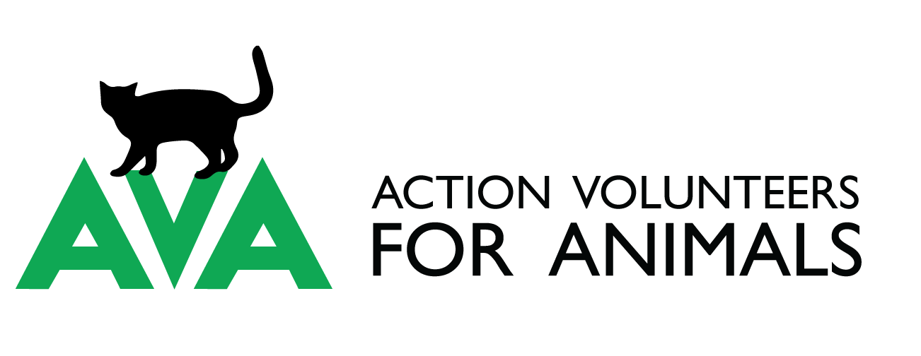 Action Volunteers For Animals